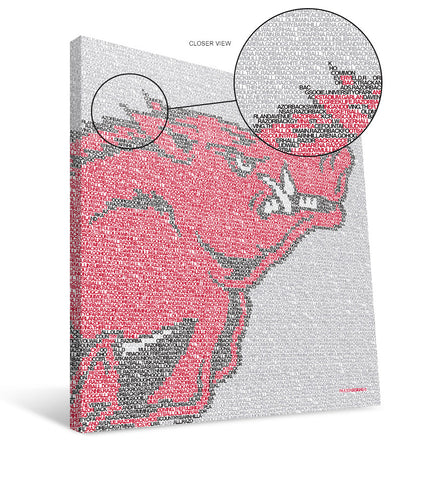 Arkansas Razorbacks Typo Canvas Print