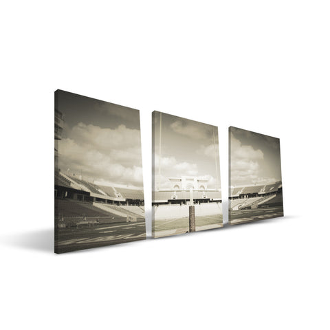Texas State Bobcats Bobcat Stadium Canvas Print